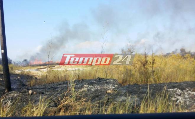 Πυρκαγιά στις Αλυκές Δυτικής Αχαΐας - Συναγερμός στην Πυροσβεστική (ΝΕΟΤΕΡΑ) ΔΕΙΤΕ ΦΩΤΟΓΡΑΦΙΕΣ