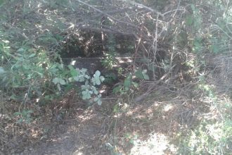 Αιτωλοακαρνανία: Συνελήφθη 39χρονος για καλλιέργεια ναρκωτικών στον Άγιο Βλάσιο - ΔΕΙΤΕ ΦΩΤΟΓΡΑΦΙΕΣ