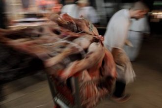 Έβρος: Επιχείρησαν να περάσουν με βάρκα στην Τουρκία 1200 κιλά αλλοιωμένο κρέας