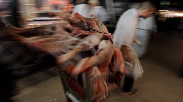 Έβρος: Επιχείρησαν να περάσουν με βάρκα στην Τουρκία 1200 κιλά αλλοιωμένο κρέας