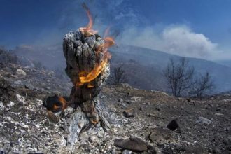 Φωτιά σε δασική έκταση στην Έξω Χώρα Ζακύνθου