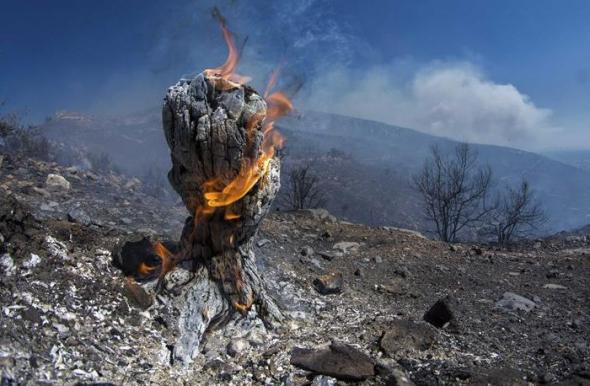 Φωτιά σε δασική έκταση στην Έξω Χώρα Ζακύνθου