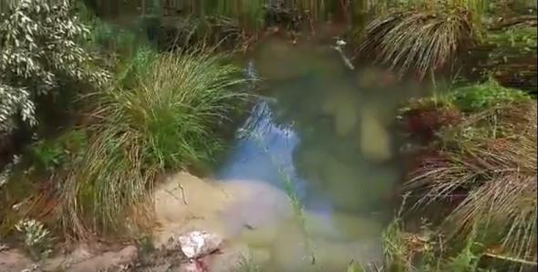 Η Παρασκευή Τσιντώνη είναι η 24χρονη Πατρινή που σκοτώθηκε από πτώση βράχου στη Μεσσηνία - Ώρες αγωνίας για την 25χρονη φίλη της- ΒΙΝΤΕΟ - ΦΩΤΟΓΡΑΦΙΕΣ - ΝΕΟΤΕΡΑ