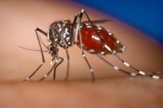 Κρούσματα ελονοσίας στον Λαγκαδά