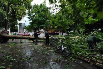 Πάνω από 200 πρόσφυγες και μετανάστες έφθασαν στη Λέσβο τα τελευταίο 24ωρο
