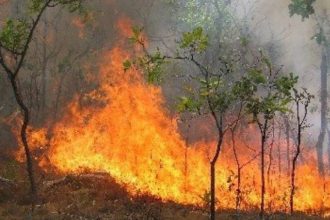 Δυτική Ελλάδα: Σε αυξημένη προσοχή σήμερα για τον κίνδυνο εκδήλωσης πυρκαγιάς - ΔΕΙΤΕ ΧΑΡΤΗ