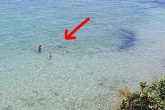 Ζάκυνθος: Αυτό που βρήκαν οι λουόμενοι στα ρηχά προκάλεσε… συναγερμό!