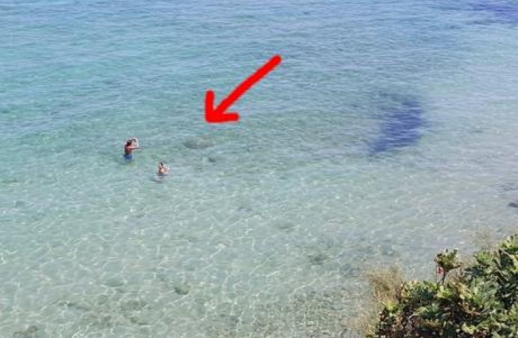 Ζάκυνθος: Αυτό που βρήκαν οι λουόμενοι στα ρηχά προκάλεσε… συναγερμό!