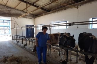 Αχαΐα: Άμεση κινητοποίηση κτηνιάτρων για το κρούσμα οζώδους δερματίτιδας στην Αιγιάλεια