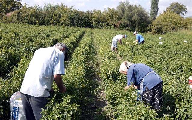 Έρχονται υπέρογκα χαράτσια για πάνω από 575.000 αγρότες! Τί θα πληρώσουν