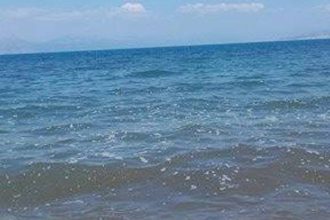 Δυτ. Αχαϊα: Ανησυχία για τα στοιχεία ρύπανσης που εμφανίστηκαν στον Αλισσό