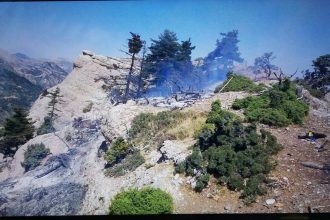 Συναγερμός στην Πυροσβεστική Υπηρεσία - Δύο οι πυρκαγιές στην Αιτωλοακαρνανία, σε Πηγάδια και Κουτσοχέρι - Υπό μερικό έλεγχο η φωτιά στα Καλάβρυτα (ΝΕΟΤΕΡΑ)