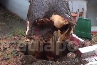 Τρίπολη: Ανεμοστρόβιλος σάρωσε νεκροταφείο - Ξεριζώθηκαν δέντρα, έσπασαν μάρμαρα