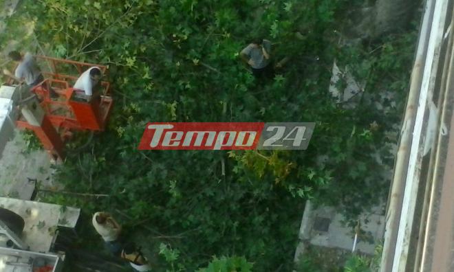 Πάτρα: Επεισόδια στην Υψηλάντου και Πατρέως - Έντονες διαμαρτυρίες για την κοπή δέντρου - ΦΩΤΟΓΡΑΦΙΕΣ