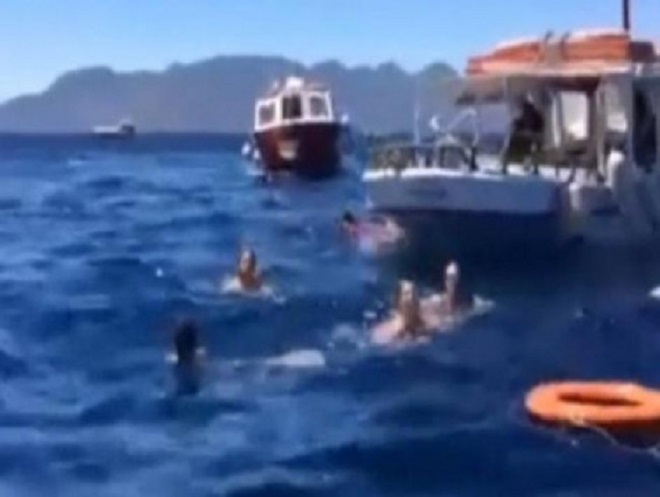 Αίγινα: Βίντεο - ντοκουμέντο από τις στιγμές της διάσωσης! Μαρτυρίες-σοκ για τον χειριστή του ταχύπλοου