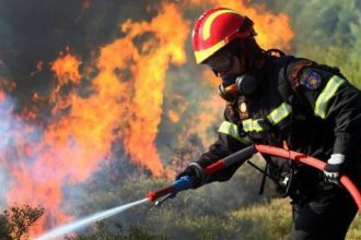 Πυρκαγιά στα Παλιάμπελα Βονίτσης - Τέθηκε υπό μερικό έλεγχο ΝΕΟΤΕΡΑ