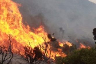 Υπό μερικό έλεγχο η πυρκαγιά σε πευκοδάσος της Κόνιτσας