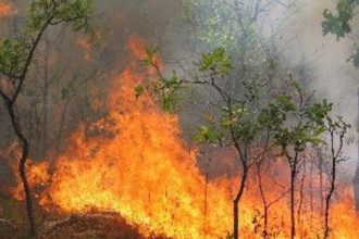 Αιτωλοακαρνανία: Υπό έλεγχο η φωτιά σε δασική έκταση στην Κατούνα - Και από αέρος η πυρόσβεση (ΝΕΟΤΕΡΑ)