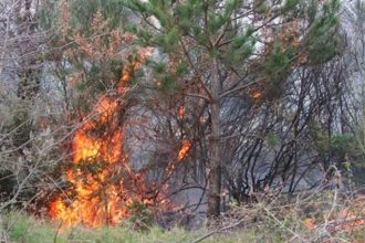 Xαλκιδική: Εννέα φωτιές ξέσπασαν τη νύχτα λόγω κεραυνών
