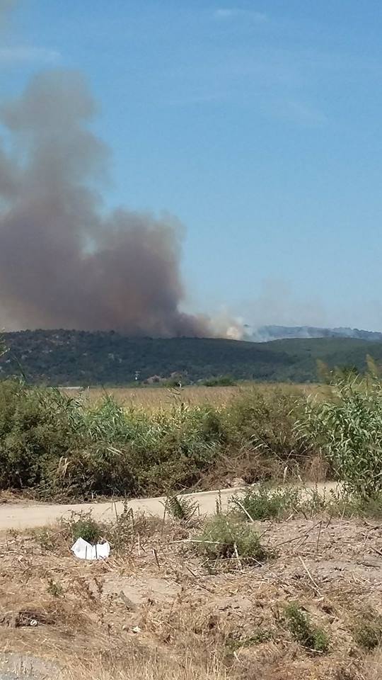 Αιτωλοακαρνανία: Σε εξέλιξη οι πυρκαγιές σε Λεσίνι και Κατοχή - Ρίψεις νερού και από αέρος - ΦΩΤΟΓΡΑΦΙΕΣ