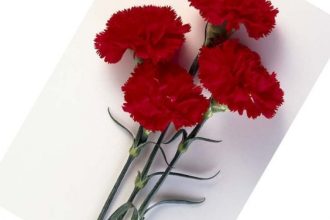 Αχαΐα: "Πλημμύρισε" ο Άγιος Σπυρίδωνας Ροδοδάφνης - Ανείπωτος ο θρήνος για τον θάνατο 69χρονης - Παρασύρθηκε από Ι.Χ μπροστά στο εγγονάκι της!