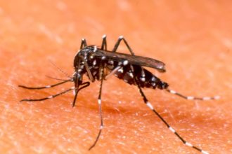 Αχαΐα: Κινδύνεψε να χάσει τη ζωή της από ... κουνούπι! ΔΕΙΤΕ ΦΩΤΟΓΡΑΦΙΕΣ