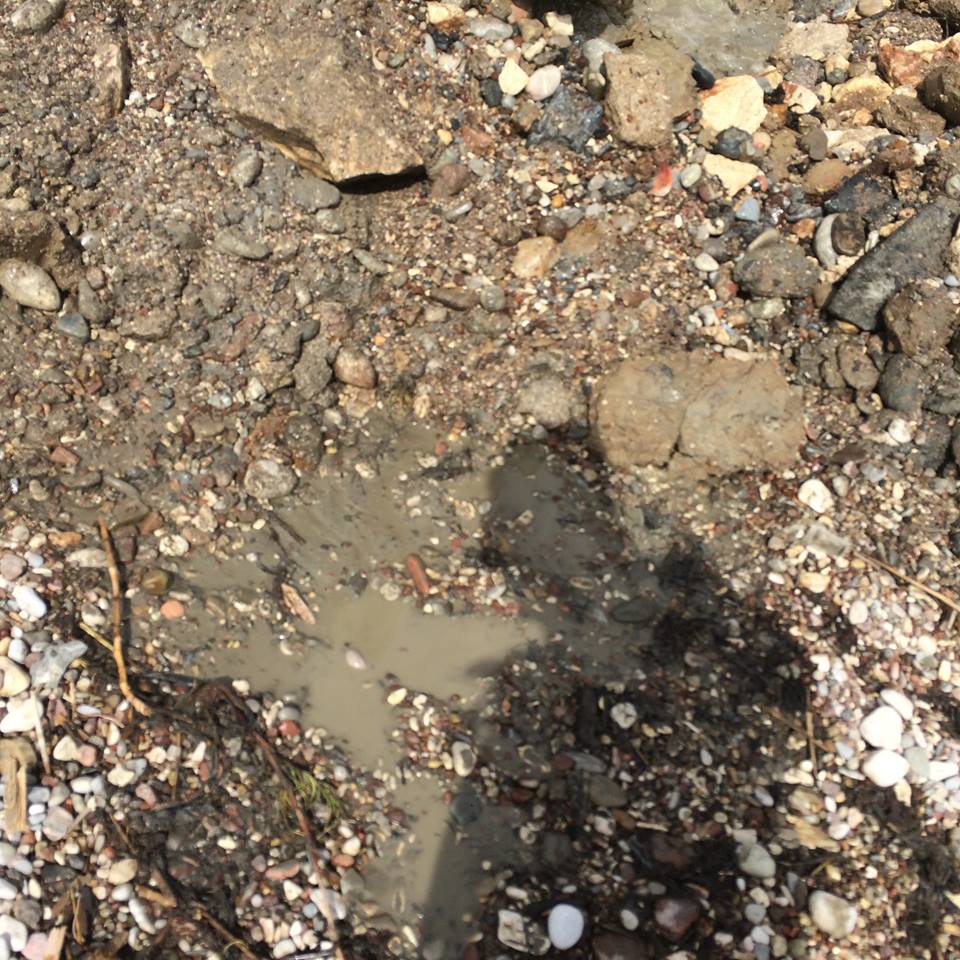 Αχαΐα: Μήνυση για απόρριψη λυμάτων στο Σπάτα