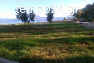 Πάτρα: "Πρασινίζει" το νότιο πάρκο - Γκαζόν και δέντρα απο το κολυμβητήριο μεχρι νεο λιμάνι - Δείτε πλούσιο φωτορεπορτάζ