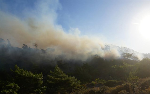 Συνελήφθη 61χρονος ημεδαπός καταζητούμενος για εμπρησμό σε δάση