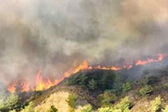 Φωτιά στην Προσύμνη Αργολίδας - Τέθηκε υπό έλεγχο μετά από ηρωική προσπάθεια των πυροσβεστών!