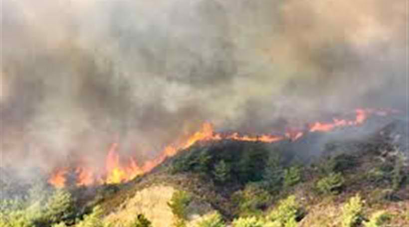 Φωτιά στην Προσύμνη Αργολίδας - Τέθηκε υπό έλεγχο μετά από ηρωική προσπάθεια των πυροσβεστών!