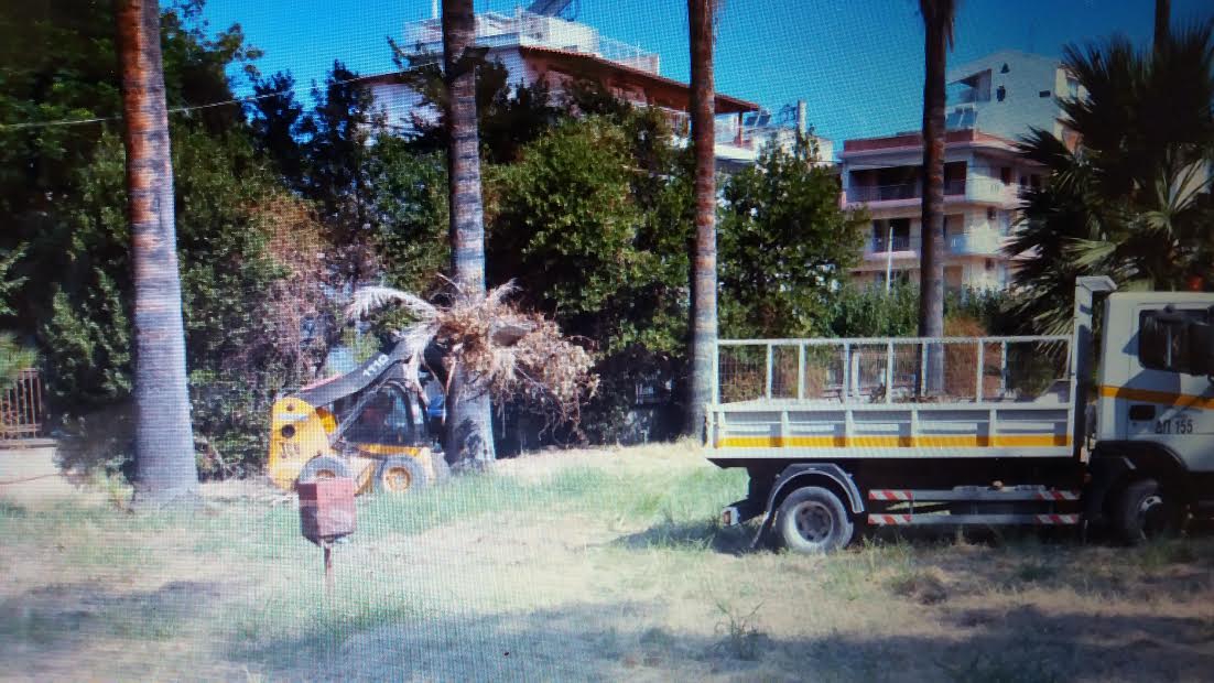 Πάτρα: Καθαρισμός στο Σκαγιοπούλειο - ΔΕΙΤΕ ΦΩΤΟ