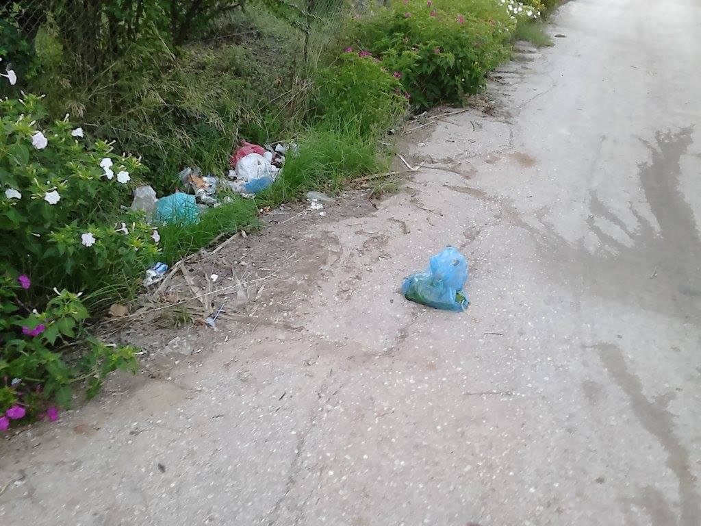 Κάτω Αχαΐα: Μηνύσεις για την έλλειψη κάδων - Κινδύνους για την Δημόσια Υγεία επικαλούνται κάτοικοι και φορείς της περιοχής