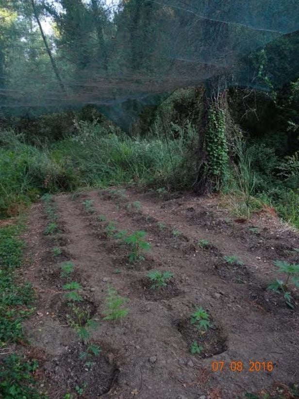 Τι κοινό έχουν η Ριάνα, η Κέιτ Μπλάνσετ και η Σάντρα Μπούλοκ;