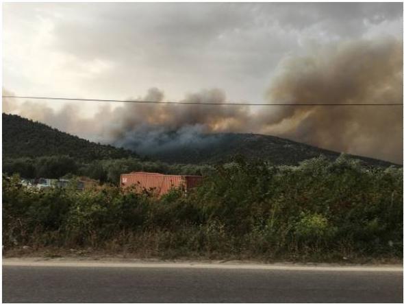 Θάσος: Μάχη με τις φλόγες δίνουν για δεύτερη μέρα κάτοικοι και πυροσβέστες - ΒΙΝΤΕΟ
