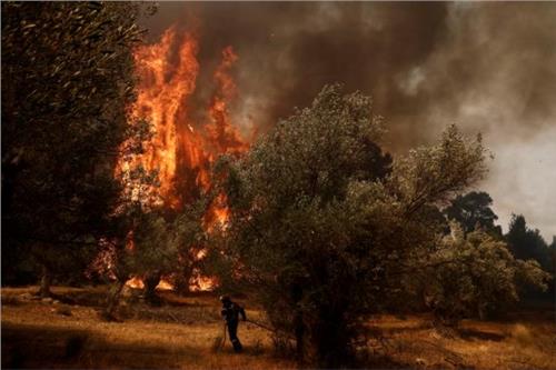 Πάτρα-Κινητός Κινηματογράφος: Νέα προβολή ταινίας στο Σκαγιοπούλειο
