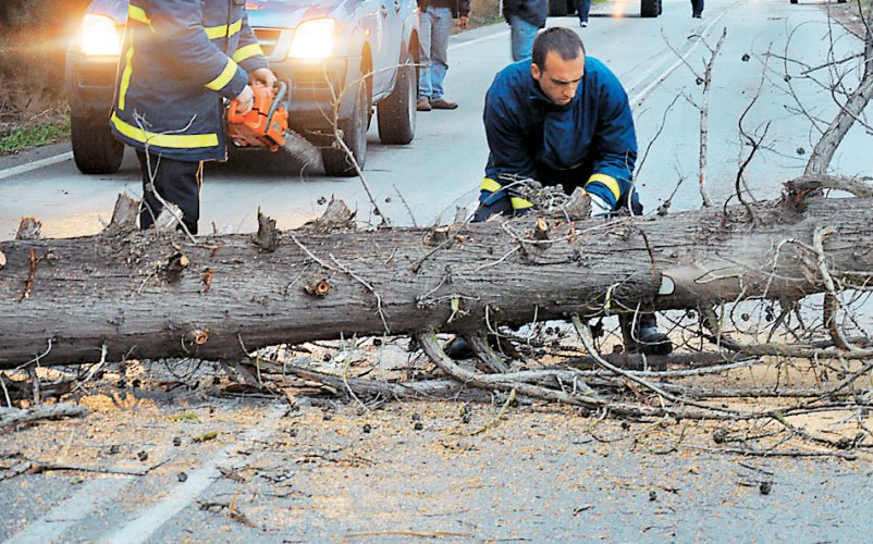 Σοβαρά προβλήματα από την κακοκαιρία - Κινητοποίηση Αστυνομίας και Πυροσβεστικής - Πτώση δέντρων και κολώνων στην Πατρών - Πύργου και στου Μουρτά - Σε επιφυλακή οι αρχές για τη Γέφυρα Ρίου - Αντιρρίου - ΒΙΝΤΕΟ