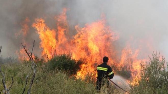 Πάτρα: Φωτιά στον Ριγανόκαμπο - Έξι οχήματα και 12 άνδρες της Πυροσβεστικής υπηρεσίας στο σημείο