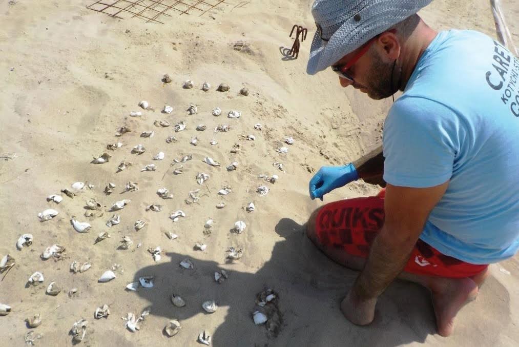 Παρουσίαση του προγράμματος για τη θαλάσσια χελώνα στο εθνικό πάρκο Στροφυλιάς - Κοτυχίου