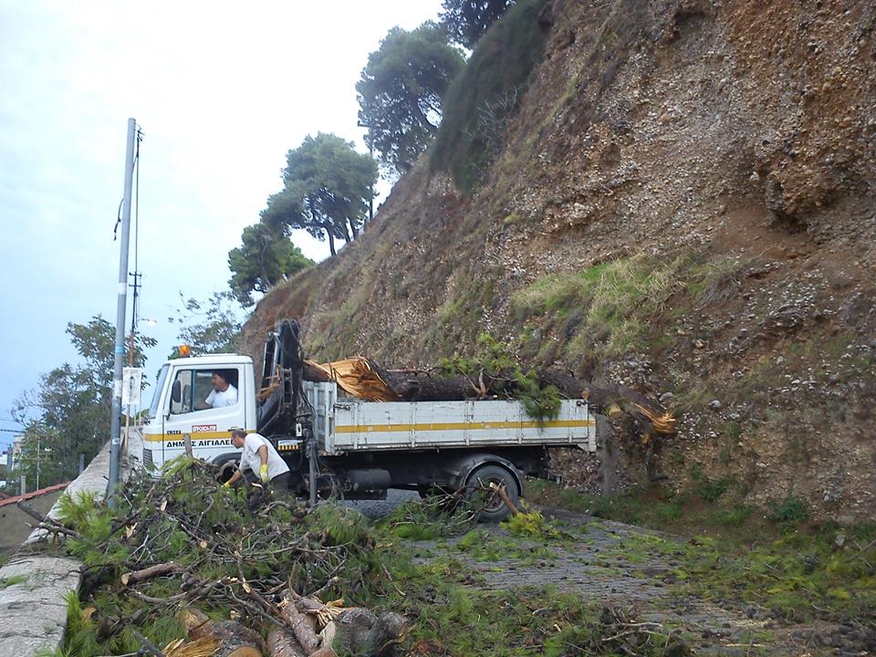 Εκτός από την Πάτρα, "χτυπήθηκαν" το Αίγιο και η Ναύπακτος - Ξεριζώθηκαν δέντρα, ξηλώθηκαν τσίγκοι, έσπασαν κολώνες από το πρωινό μπουρίνι - ΔΕΙΤΕ ΦΩΤΟΓΡΑΦΙΕΣ