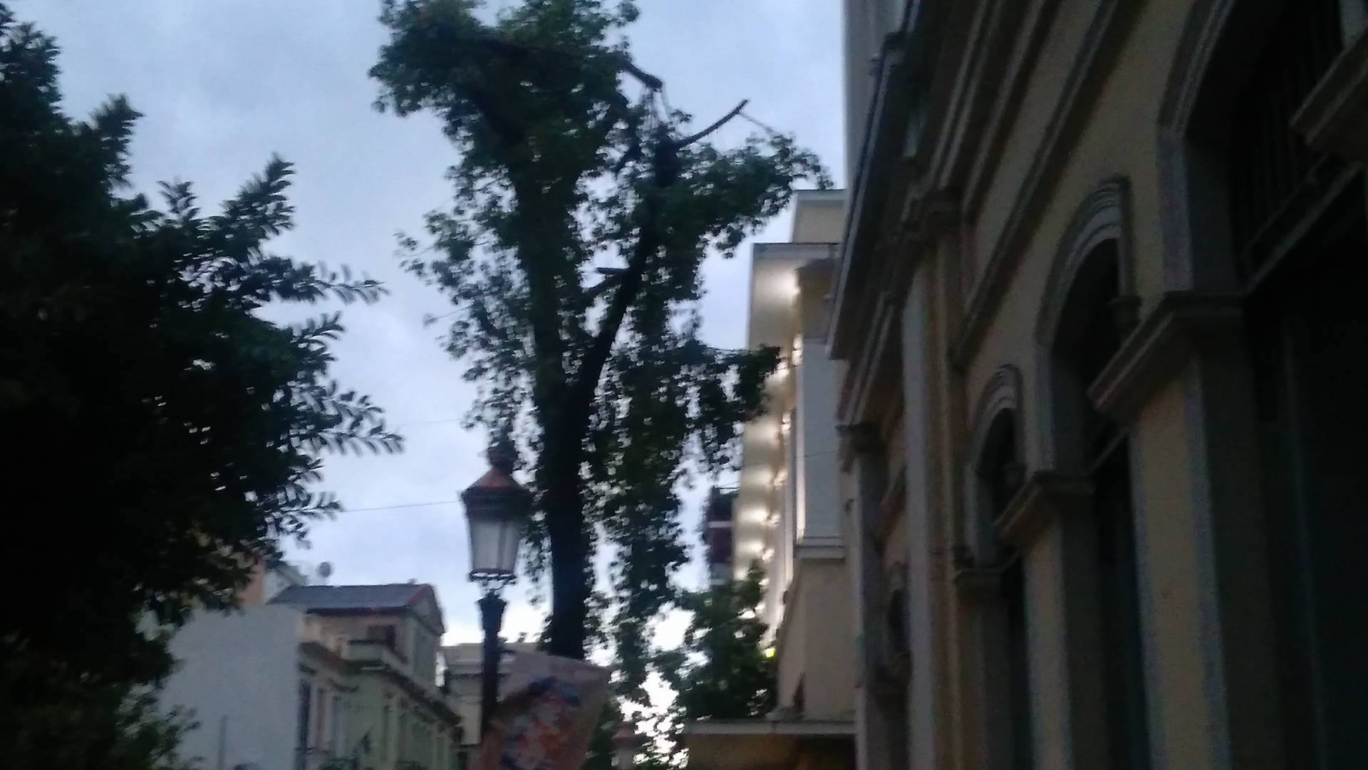 Πάτρα: Σαν να πέρασε τυφώνας - Το φως της ημέρας φανερώνει τις καταστροφές από την κακοκαιρία - ΔΕΤΕ ΦΩΤΟΓΡΑΦΙΕΣ ΚΑΙ ΒΙΝΤΕΟ