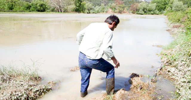 Αιτωλοακαρνανία: Η κακοκαιρία «χτύπησε» τις καλλιέργειες - Σε απόγνωση οι αγρότες