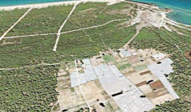 Παρέμβαση της ΟΙΚΙΠΑ για τα Σαμαρέικα στη Στροφυλιά - Ζητά την παρέμβαση του υπουργείου και καταγγέλλει παράνομη δράση στο δάσος