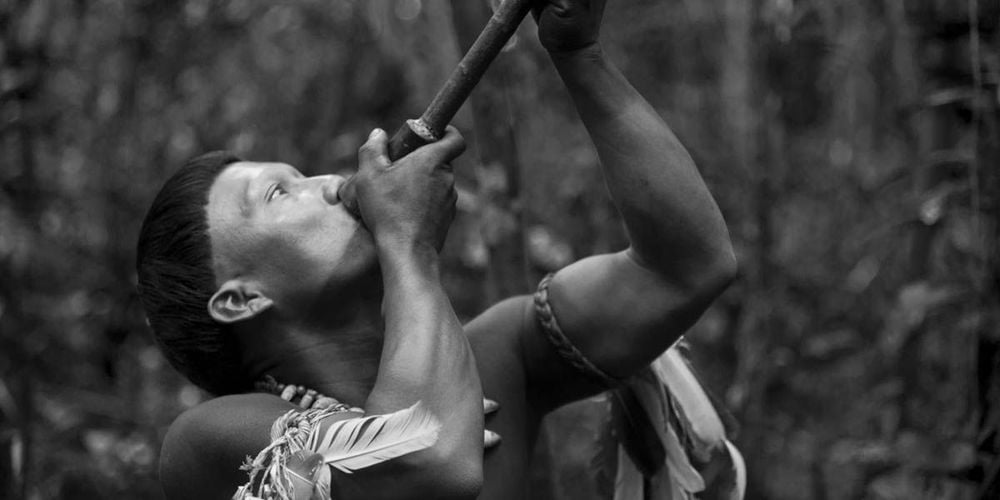 Κινηματογραφική Λέσχη Πάτρας: Απόψε η προβολή της ταινίας «στην αγκαλιά του φιδιού»