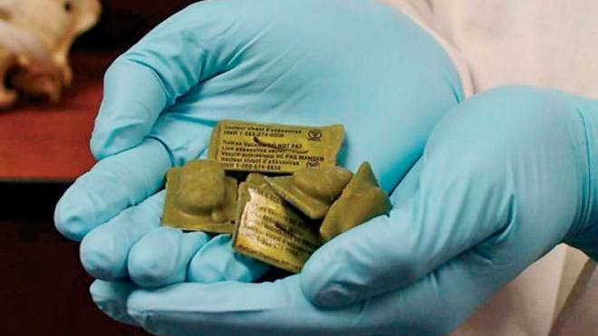 Δυτική Ελλάδα: Ξεκινά αύριο δολωματικός ψεκασμός για λύσσα στην Αιτωλοακαρνανία