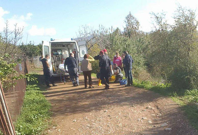 Ο σκύλος διασώστης της 6ης ΕΜΑΚ που σώζει ανθρώπους! Εντόπισε αγνοούμενη ηλικιωμένη - ΦΩΤΟΓΡΑΦΙΕΣ