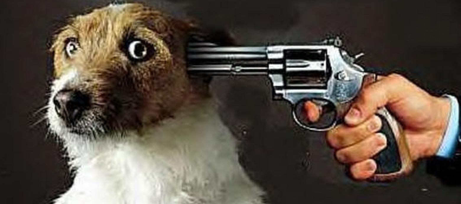 Αιγιάλεια: Βαριά καμπάνα σε πρώην Αγροφύλακα - Πυροβόλησε τον σκύλο του!