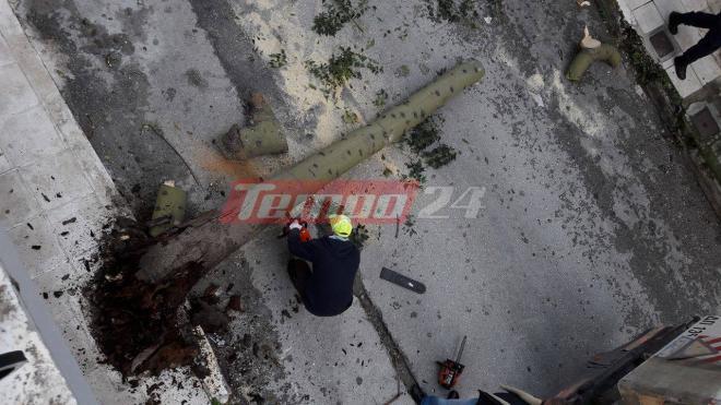 Πάτρα: Οι δυνατοί άνεμοι... "πέταξαν" δέντρο πάνω σε όχημα - Από θαύμα δε θρηνήσαμε θύματα - ΔΕΙΤΕ ΦΩΤΟΓΡΑΦΙΕΣ