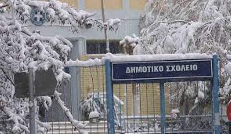 Σε εγρήγορση οι Κτηνιατρικές Υπηρεσίες της Περιφέρειας Δυτικής Ελλάδας για την γρίπη των πτηνών