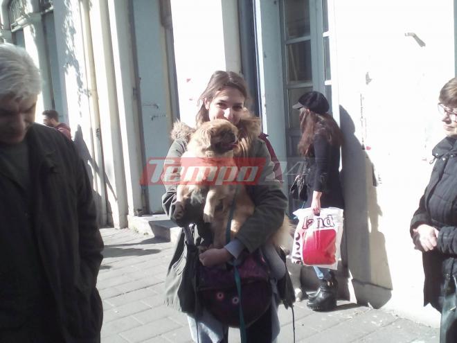 Πάτρα: Με τα σκυλιά στο Δημαρχείο! Διαμαρτυρία φιλόζωων στον δήμαρχο - Ζητούν χώρο φιλοξενίας για τα αδέσποτα - ΒΙΝΤΕΟ και ΦΩΤΟΓΡΑΦΙΕΣ